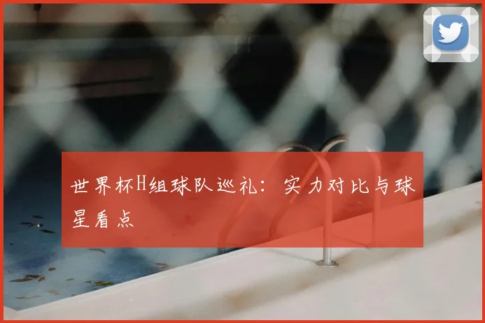 世界杯H组球队巡礼:实力对比与球星看点