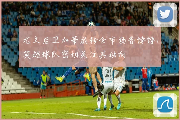 尤文后卫加蒂成转会市场香饽饽，英超球队密切关注其动向